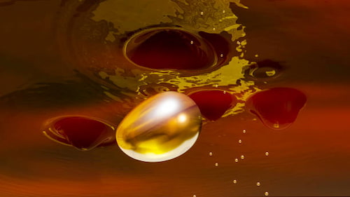 تصویر 5 از قیمت خرید روغن کنجد آشپزی درجه یک + فروش ویژه